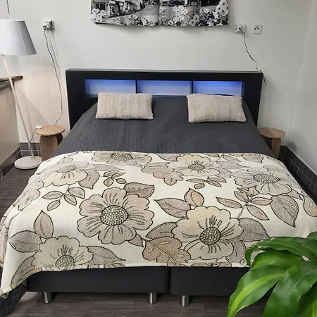 Apaja Holiday home *